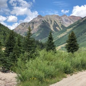 Meet your Posher, Gavin